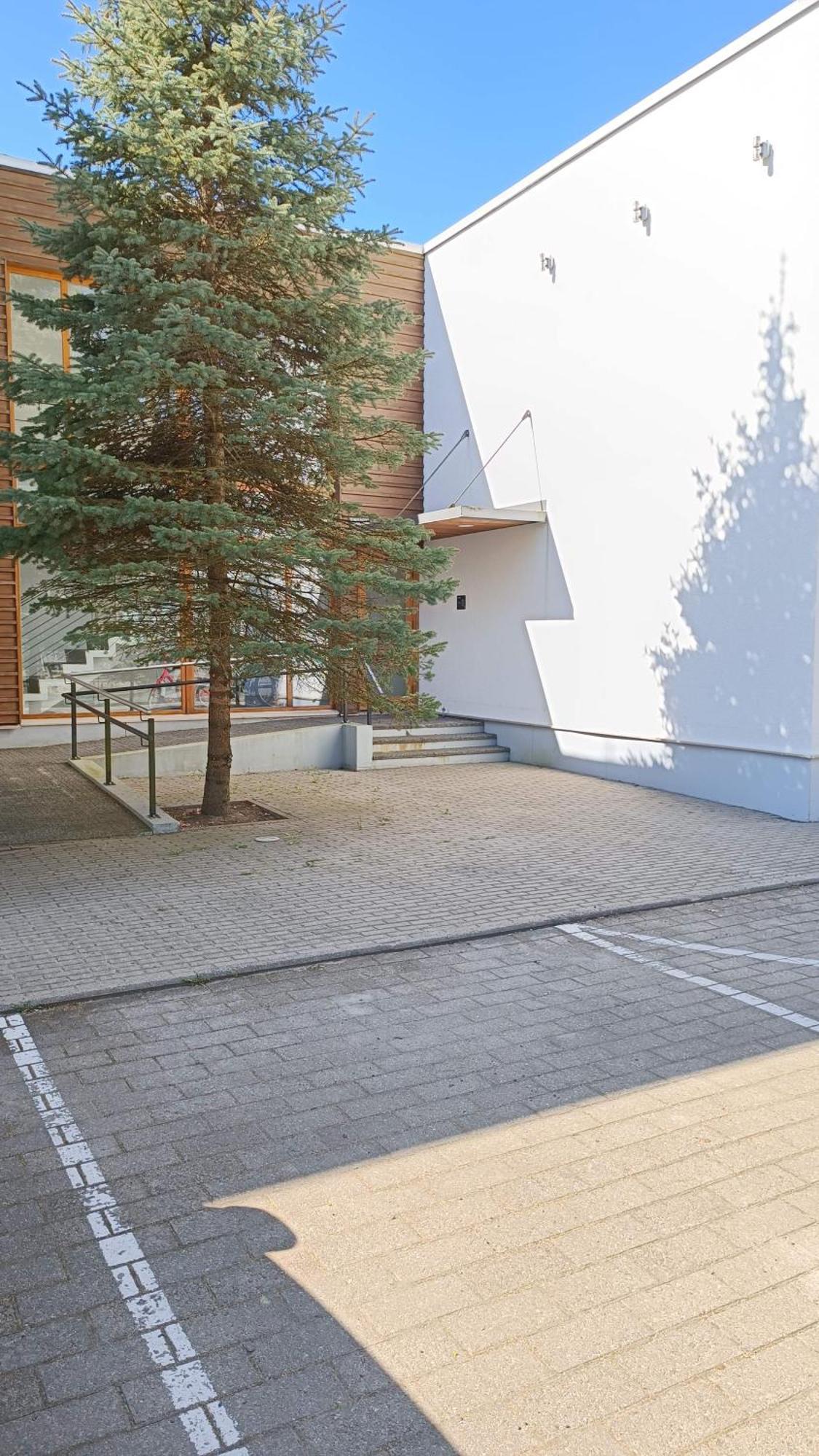 Papli Holiday Studio Pärnu Dış mekan fotoğraf